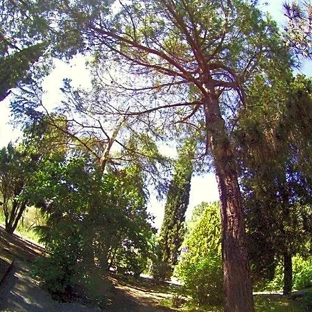 فندق Casa Cecchi سيينا